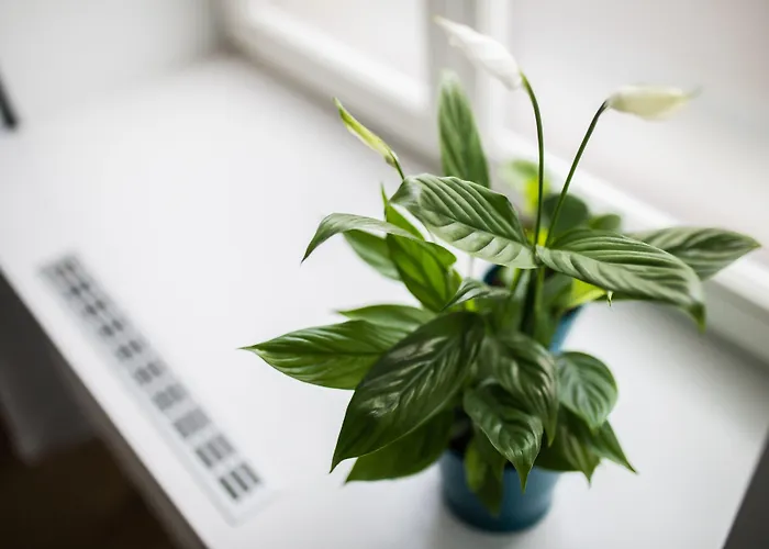 Luga Homes - Stadthaus Ξενοδοχείο με διαμερίσματα